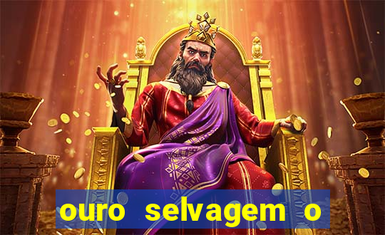 ouro selvagem o que aconteceu na vida